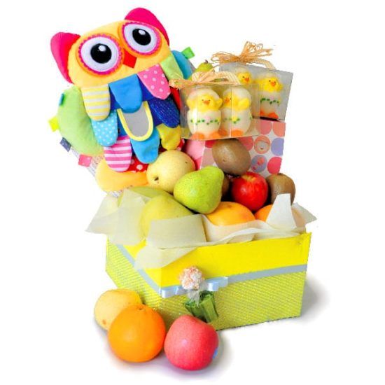 Owlicious Bebe - Baby Gift