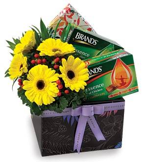 Health Essence - Wellness & Get Well Soon Gift Hampers