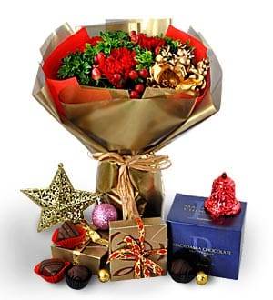 Castell – Christmas Flower Gifts