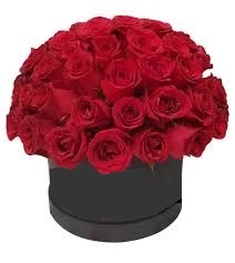 Boxes with 50 domestic roses