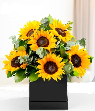 SUNFLOWER BOX