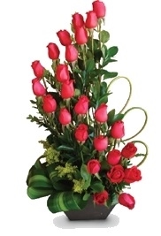 Snail of 25 imported roses