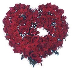 Heart Roses Standard