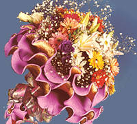 Stunning Bouquet in Italian