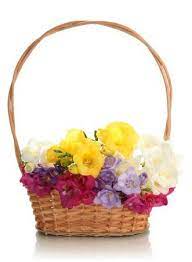 MEDIUM BASKET WITH FRESIAS
