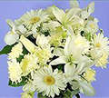 White Bouquet