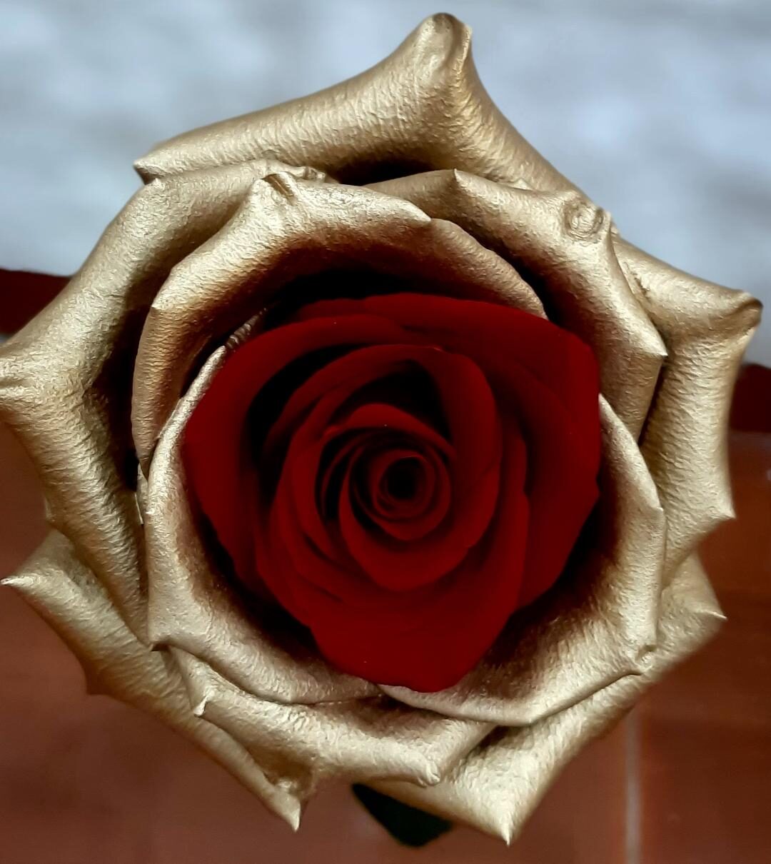 ROSE RED GOLD
