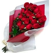 Premium roses giant buds