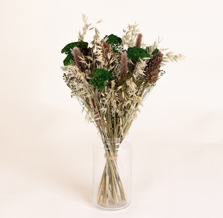 Tender Nature (Without a Flowerpot Cover)
