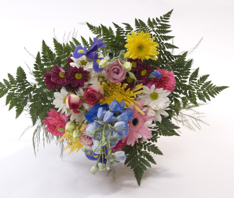 Breathtaking Array (Small)