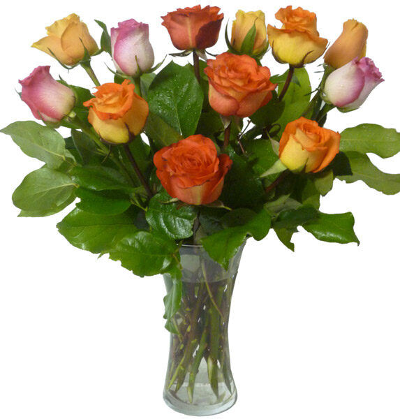 Rainbow of Roses (As Shown)