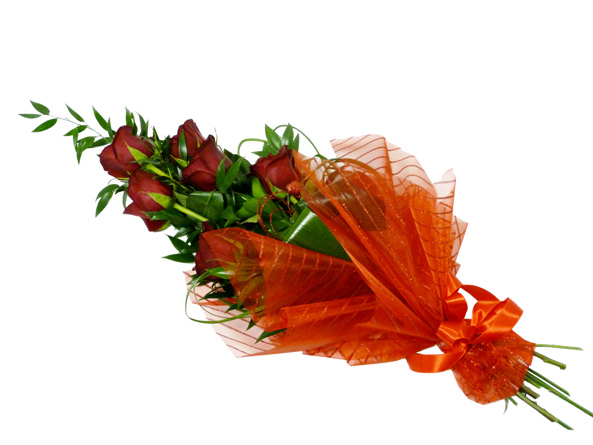 6 Red Roses (As Shown)