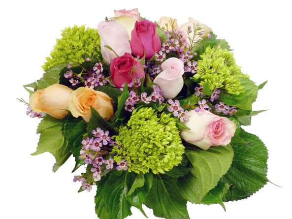 Roses & Hydrangea (As Shown)