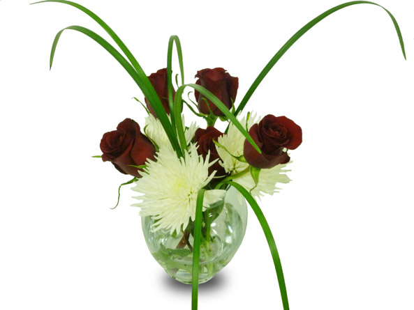 Roses & Anastasia (As Shown)