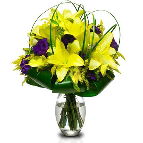New Product (Small)