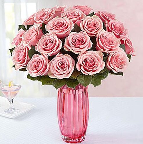 Pink Roses Bloom