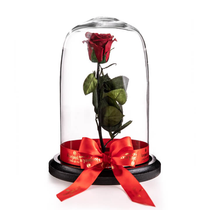 Cryogenic rose in the glass dome