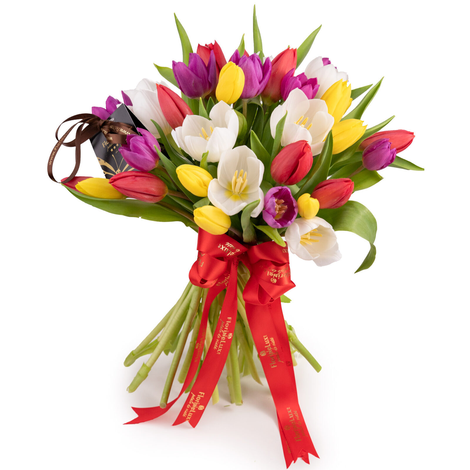 Wonderful multicolored tulips (standard)