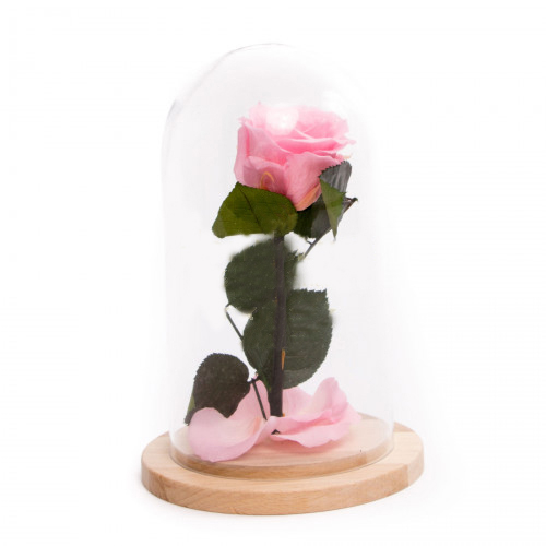 Luxury Lady Preserved Rose
