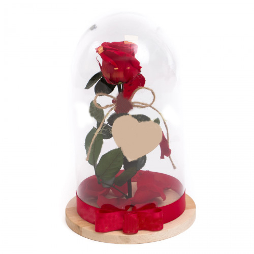 Glass Dome Rose Toujours