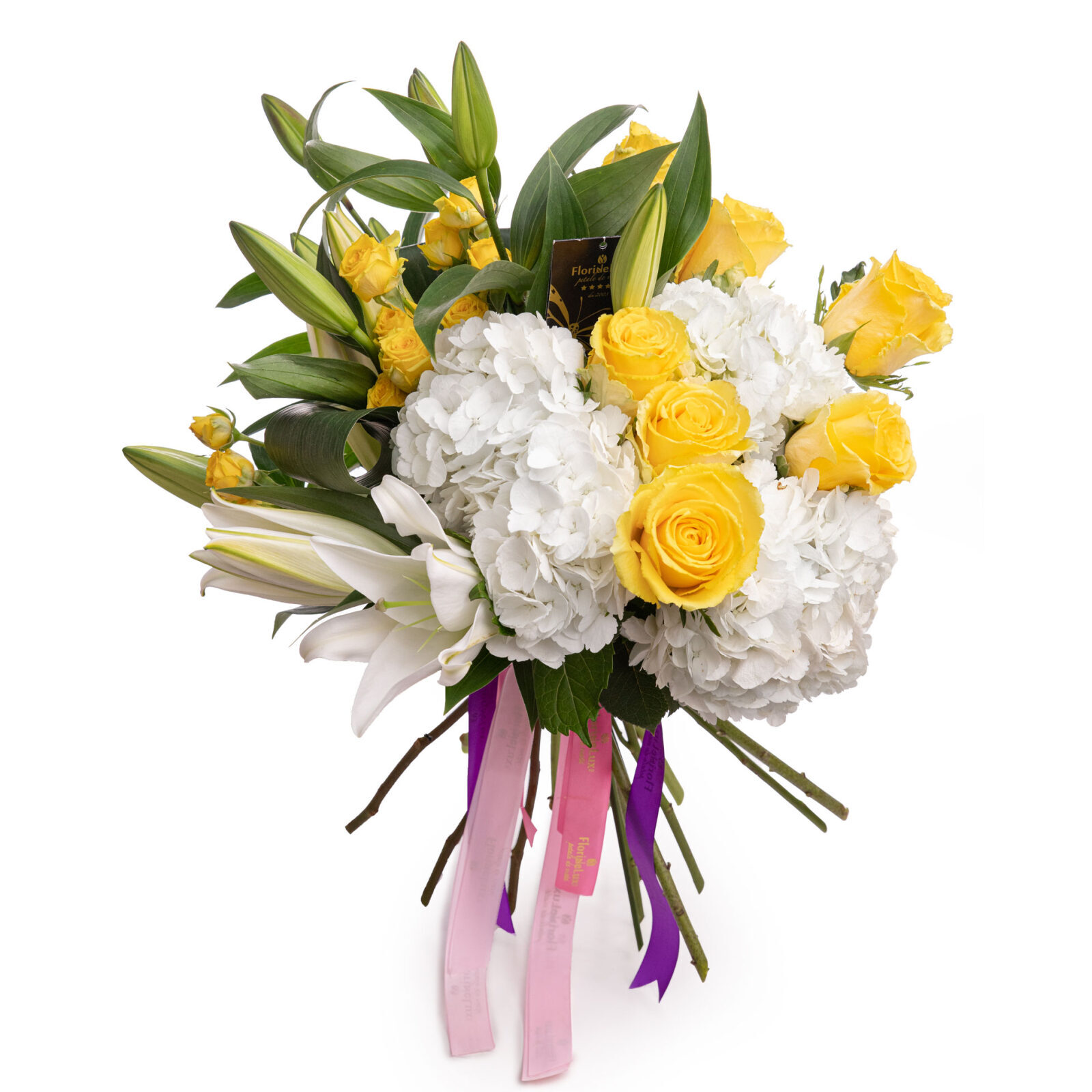 White and yellow flowers - sun rays (Standard)