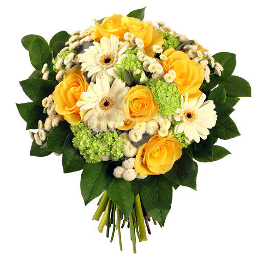 Yellow Roses Delivery In Romania (Standard)