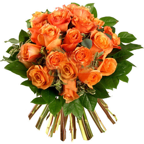 Orange Roses, Send Roses To Romania (Standard)