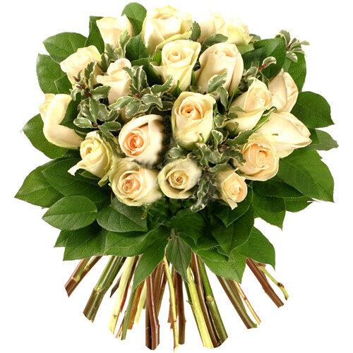 Romanian Flowershop - Gorgeous Roses (Standard)