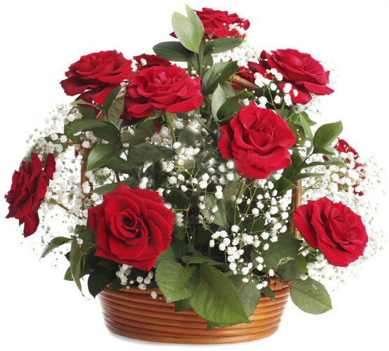 Red Roses Basket In Romania (Standard)
