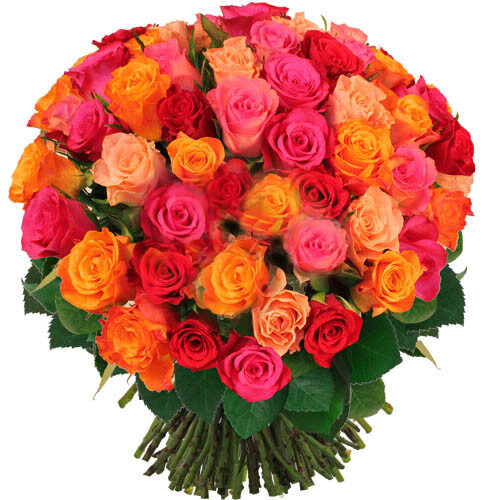 Bouquet Of Colorful Roses In Romania (Standard)