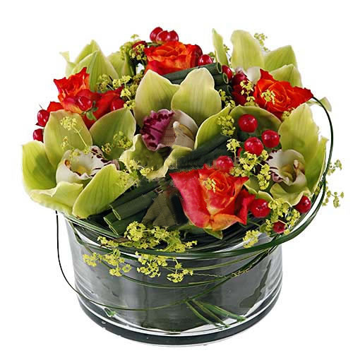Flowers By Florist Romania - Business Orchid Arrangement