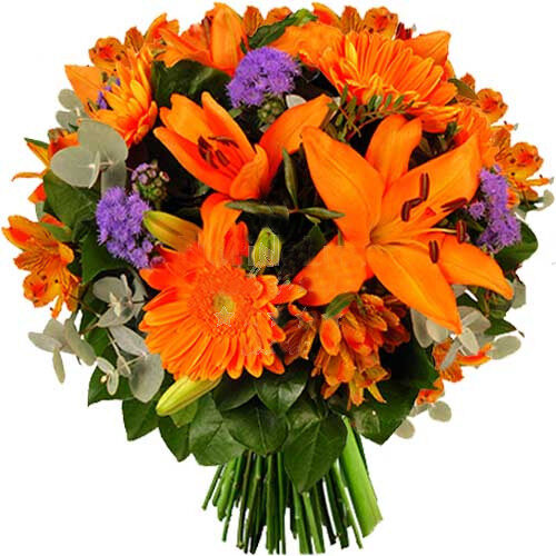Orange Lilies - Flower Shops Romania (Standard)