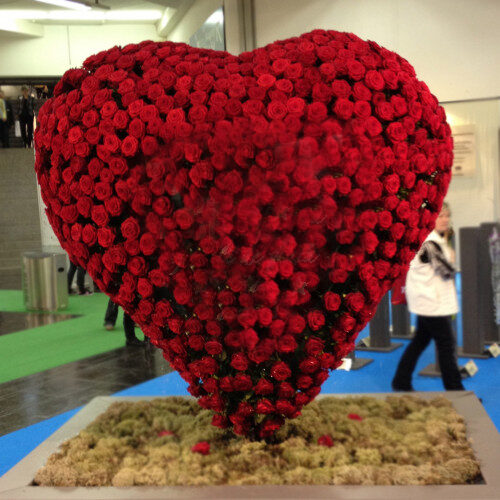 Giant Rose Heart