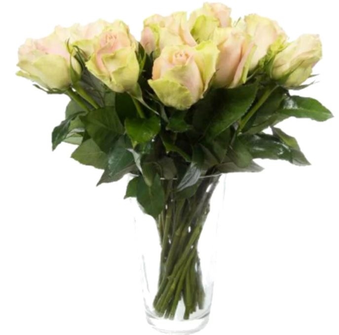 9 Pink Roses