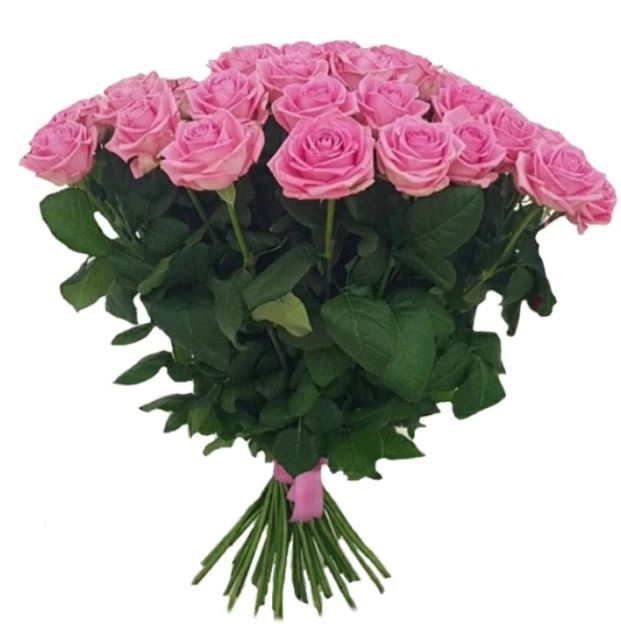 19 Pink Roses