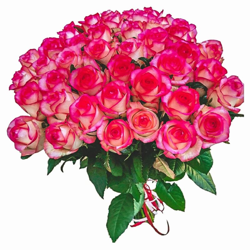 35 Pink Roses