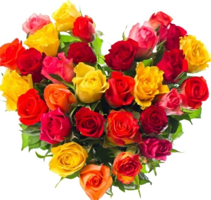 Bright Roses Heart
