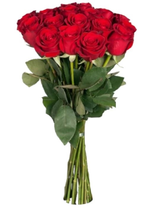 15 Luxury Red Roses