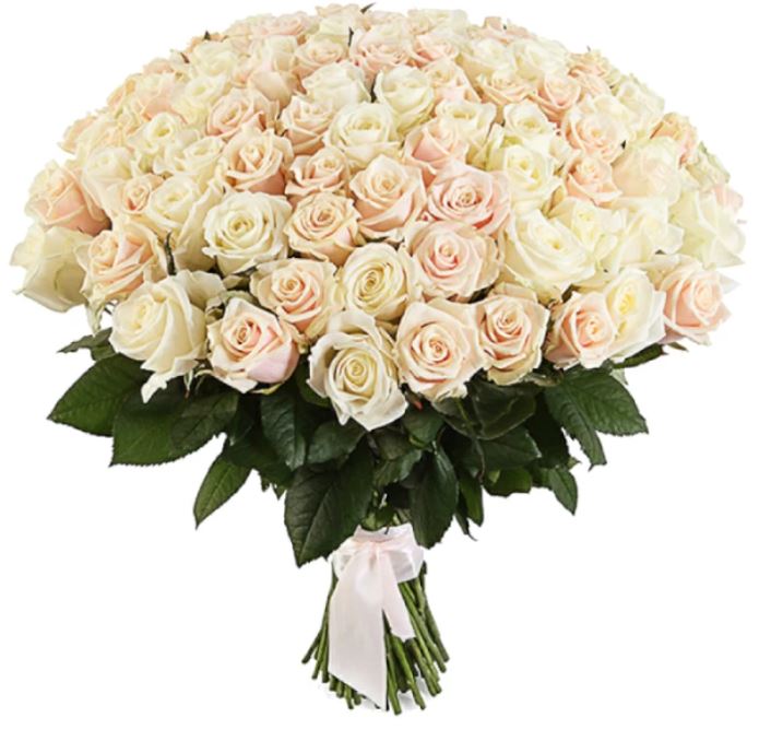 101 Pink Roses