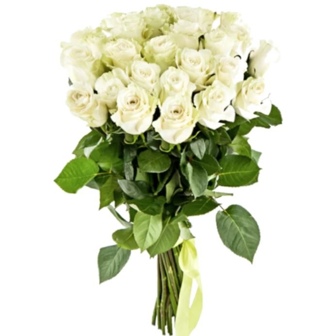 21 White Roses