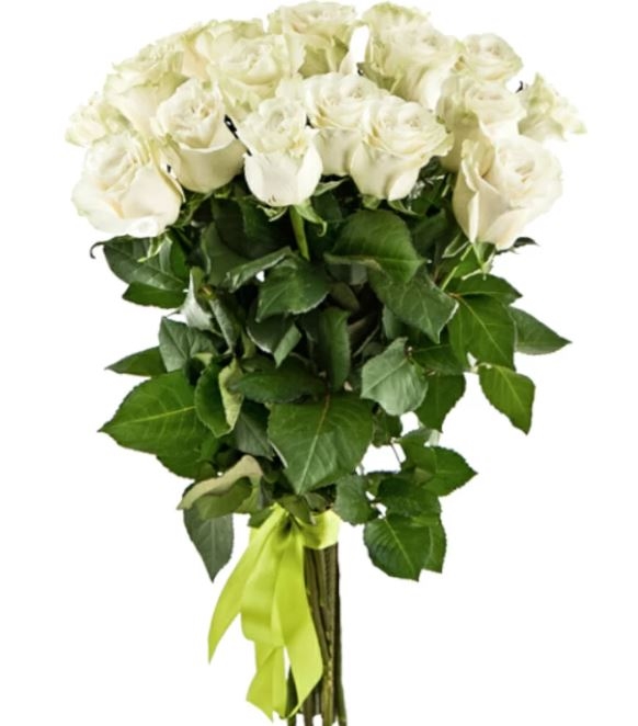 17 Luxury White Roses