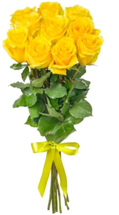 9 Yellow Roses