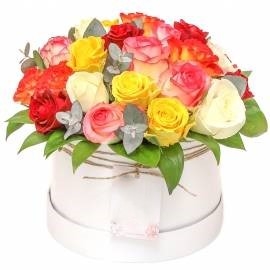 31 Delightful Roses