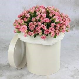 Pink Eden
