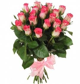 Awesome Roses (17 Roses)