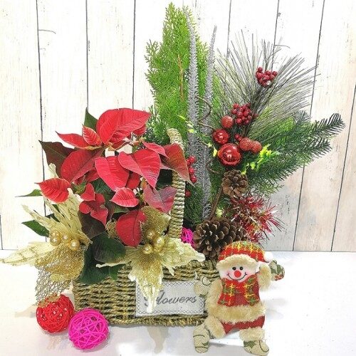 Poinsettia Arrangement (Standard)