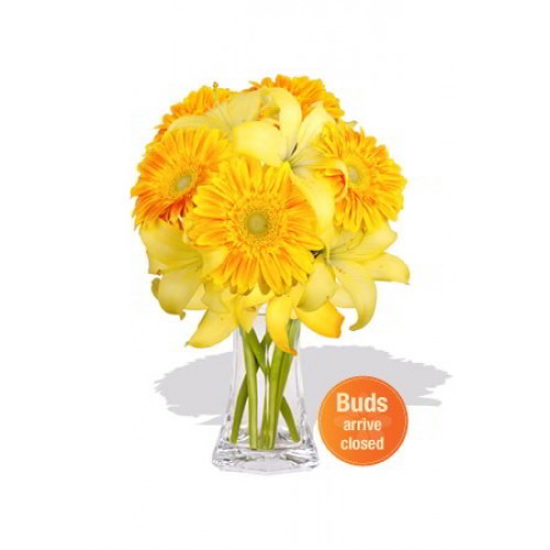 Gerbera and Asiatic Bouquet(Standard)