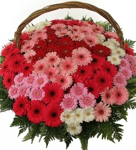 Big Bright Basket Of 101 Blooms