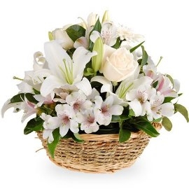 Purity