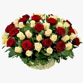Just Congrats (55 Roses)